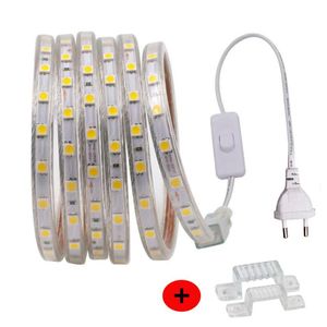 Bandes lumière LED 220V 60Led s/m, ruban Flexible étanche avec interrupteur, bande de prise EU/UK pour décoration intérieure et extérieure