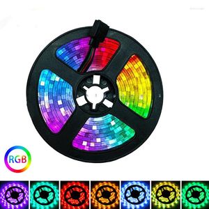 Strips LED Light Bar RGB 2835 Kleur USB Infrarood Remote Regeling Flexibel met diode DC5V TV -achtergrondverlichting Geschikt voor thuisverlichting