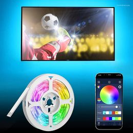 Strips LED Light Bluetooth App Controller Flexibele RGB Decoratie Backlight Lamp Night Luminous String voor slaapkamer