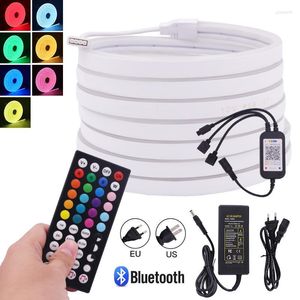 Strips LED Neon Lights RGB 3535 Waterdichte flexibele lint DC 12V 108leds/M Bluetooth Tape Diode Slaapkamer Decoratie Luces Lightleded