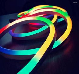 Strips LED Neon Pixel Strip Droomkleur WS2811 60LEDS/M DC12V DC24V Lopende RGB Flex Rope Light Waterdichte PVC -tape