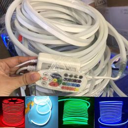 Strips LED RGB Neon Lichtstrook Waterdicht IP68 -touwlamp met dimmerschakelaar IR 24Key Remote EU/UK/AU/USLED STRIPSLED