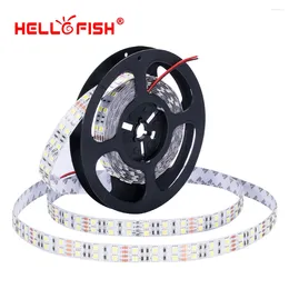 Bandes LED bande 5m double rangée 15mm largeur 600 SMD 12V ruban flexible haute luminosité RGB blanc chaud