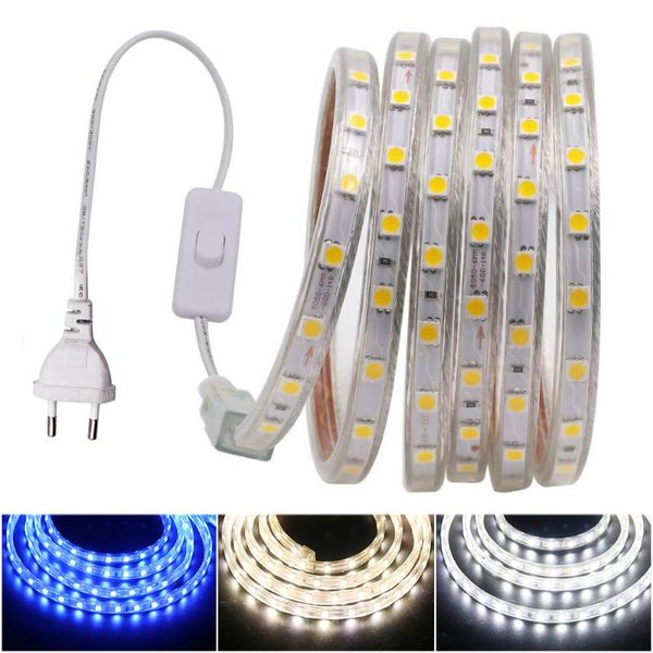 Tiras Tira LED 60 LED / m Luz flexible Impermeable al aire libre con interruptor Enchufe UE EE. UU. Decoración para el hogar Tiras LED LED