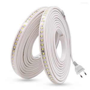 Strips LED Strip EU 220V Waterdichte constante stroom Natuurlijk wit/warm wit/wit 4040 100leds/m Flexibele lintlampje Lamp