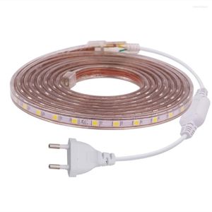 Bandes LED bande lumineuse 220V 110V ruban Flexible étanche 60LED/m blanc bleu rouge décoration de la maison chaude 1m 10m 20m 50m