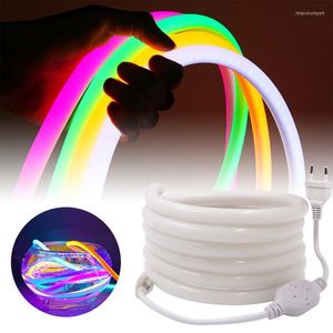 Bandes néon Luces Led barre lumineuse bande 220V 120LED 2835 Tube Flexible corde étanche vacances décor à la maison 1m 2m 3m 4m 5m