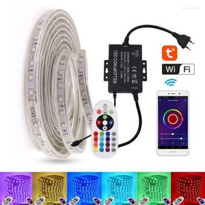 Strips RGB LED Strip 220V 110V Waterdichte WiFi -regeling 1500W Controller 24Key Remote Flexible Tape Touwlicht
