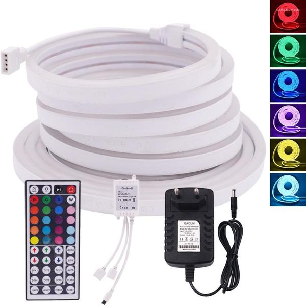 Bandes RGB LED bande lumineuse avec télécommande DC 12V Flexible néon signe ruban étanche Silicone bande corde rétro-éclairage décor