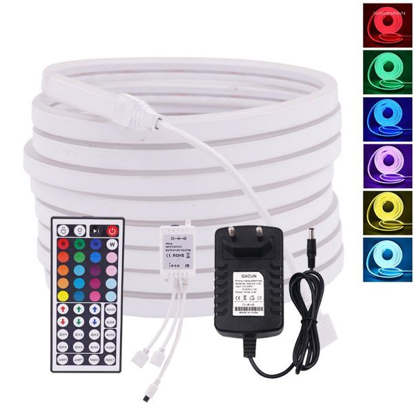 Bandes RGB bande néon avec télécommande SMD2835 12V bande de corde lumineuse Flexible 96Leds/m signe étanche bricolage lampe de nuit