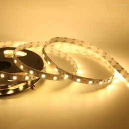STRIPS SMD LED STRIP LICHT 60LEDS/M RGB STRIPE Flexibele snaar lint tape DC12V Holiday Christmas Decoratie Nonwater Proof