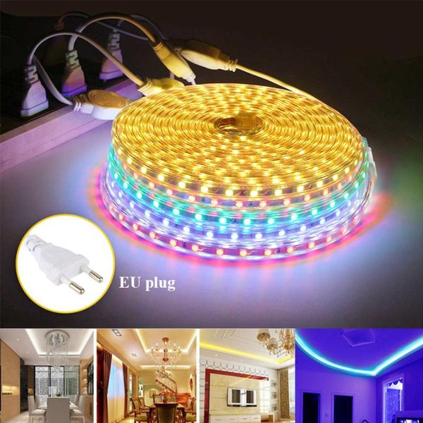 Bandes lumineuses SMD AC220V LED ceinture lumineuse Flexible 60 Leds/m ruban étanche avec prise d'alimentation 1M/5M/10MLED StripsLED