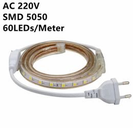 Bandes Super Bright SMD Dimmable AC220V LED Strip Light 1M/5M/10M/15M/20M/25M/50M/100M Cuisine Extérieur Jardin Lampe TapeLED StripsLED