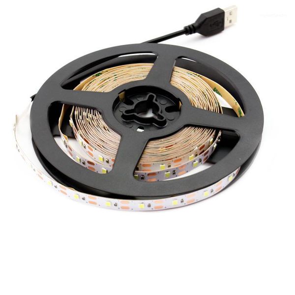 Bandes USB 5V Neon Led Strip Light SMD 2835 50CM 1M 2M 3M 4M 5M 60Led / m TV Rétro-éclairage 5 V Diode Lamp1