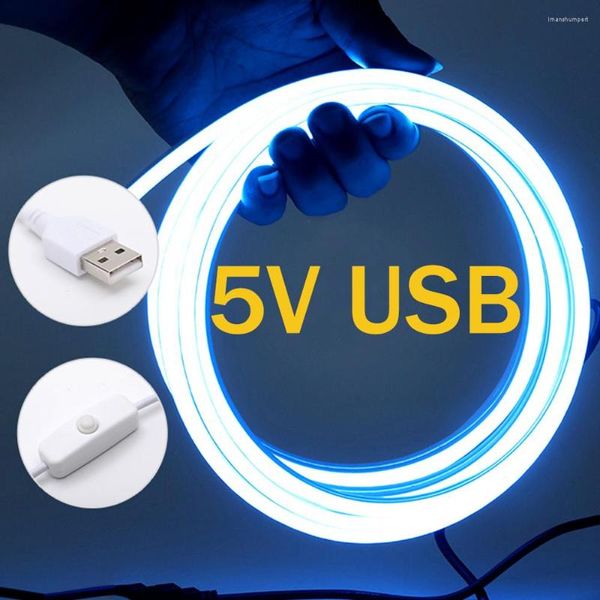 Strips USB DC 5V Luz de neón flexible 2835 120LEDS/M Cinta LED LED LETLE ROPE CON CONTIGURA DEL INTERRUPTOR