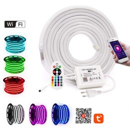 Bandes WIFI contrôle RGB néon bande lumière lampe étanche 2835 blanc chaud Flexible LED corde EU UK AU 220 V US 110V265E