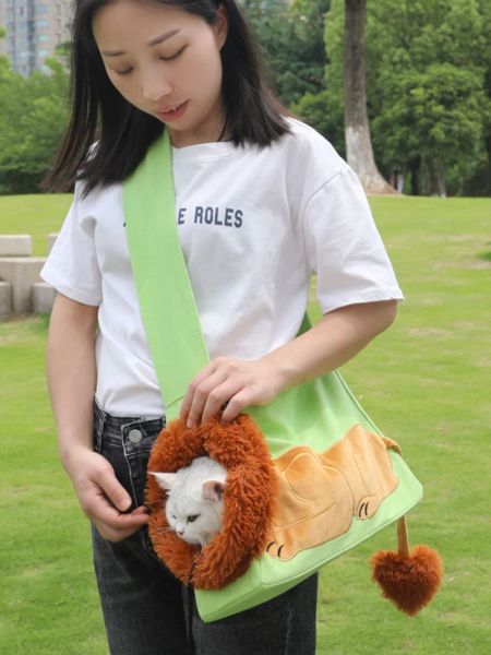 Poussettes chat sac de transport animal de compagnie sac à dos sac Portable pliant respirant Muppet sac pour chat animaux dessin animé toile Lion chat sac