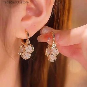 Stud 2023 Nouvelle lumière de luxe doux belle boucles d'oreilles exquises femme couleur or tendance tempérament boucle d'oreille bijoux cadeaux en gros Q240125