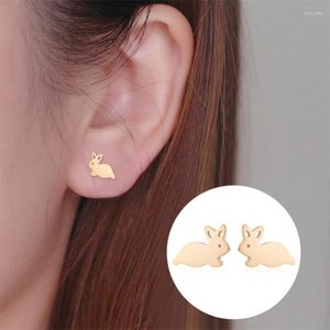 Pendientes De Botón 10 Piezas Moda Rosa Oro De 18 Quilates Plata Chapado En Negro Acero Inoxidable Pequeños Para Mujeres Damas