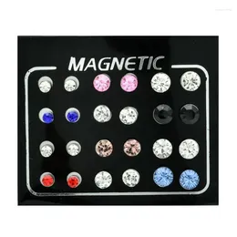 Stud Oorbellen 12 paar/partij 3/4/6/7mm Gemengde Ronde Kristal Strass Magneet Oorbel Puck Vrouwen Heren magnetische Fake Ear Plug Sieraden