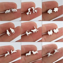 Boucles d'oreilles à clous en forme d'animal mignon, une semaine, pour fille, chat sauvage, bijoux, vente en gros, 2024