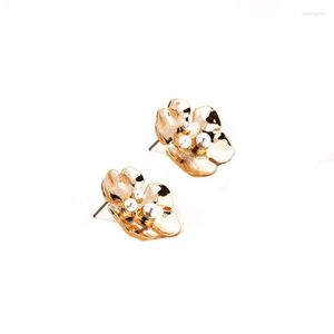 Boucles d'oreilles à tige en métal pour femme, 2 pièces, fleur délicate transfrontalière, petit vent froid, mode féminine, 2023