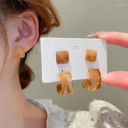 Stud Oorbellen 4 stks/set Koreaanse Acryl Vierkant Voor Vrouwen Meisjes Eenvoudige Retro Hars Oorbel Boucle Oreille Fijne Sieraden Gift