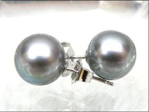 Boucles d'oreilles à tige avec perles des mers du Sud grises rondes parfaites de 8 à 9 mm, or blanc 14 carats/20