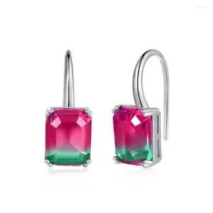 Boucles d'oreilles à clous en argent Sterling 925, crochets d'oreille élégants, Niche féminine, tempérament changeant progressivement de couleur, à la mode et coloré