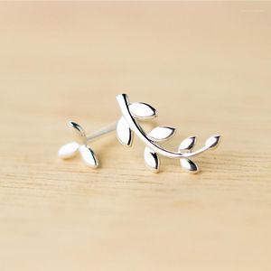 Boucles d'oreilles clou Asymétrie Réel. Bijoux en argent sterling résistant au ternissement avec branche d'olivier en argent sterling 925 C-E1167