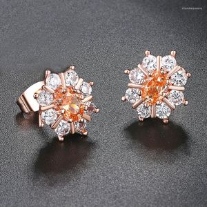 Stud -oorbellen Oostenrijkse Hight Quality Orange/White Crystal Earring For Women Party Rose Gold Color Plant Sieraden DWE019