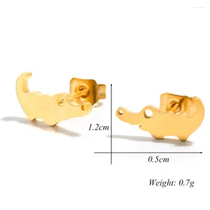 Boucles d'oreilles bébé Crocodile petit Alligator en acier inoxydable, accessoire en forme de lézard Tuatara, bijoux cadeaux pour enfants