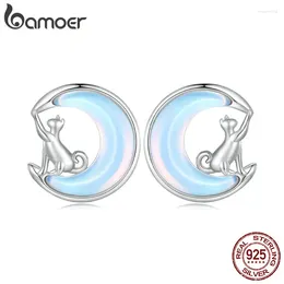 Stud Oorbellen Bamoer 925 Sterling Zilver Fantasie Maan Leuke Kat Voor Vrouwen Party Fijne Sieraden Gift BSE913