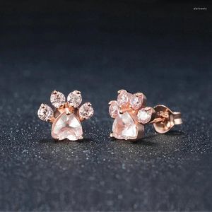 Stud Oorbellen Boho Trendy Leuke Kat Poot Voor Vrouwen Fashing Goud Zilver Kleur Oorbel Roze Kristal Dierenklauw Print