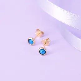 Boucles d'oreilles CANNER 2024 tendance Turquoises pierre 925 argent Sterling petit pour les femmes bijoux délicats Pendientes Mujer