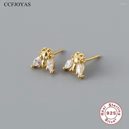 CCFJOYAS – boucles d'oreilles en argent Sterling 925, petit insecte frais en forme de Simple INS, Zircon blanc, Mini bijoux animaux mignons