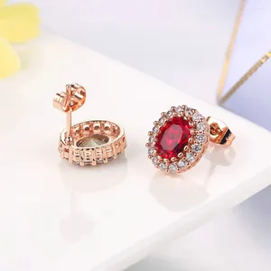 Boucles d'oreilles Classic Red Crystal Bringon pour les femmes en gros de couleur rose rose mode CZ Bijoux en pierre Brinco DWE108
