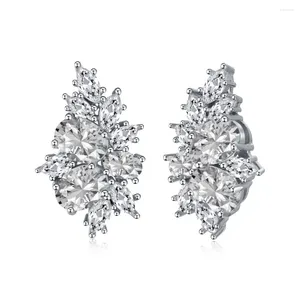 Boucles d'oreilles Cross Border S925 Pure Silver Earts Studs Light Luxury Fashion Dîner de luxe féminin petit cheval haut de gamme