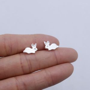 Stud -oorbellen schattig dier voor vrouwen meisjes minimalistische kleine ooraccessoires