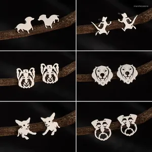 Boucles d'oreilles mignons animaux en acier inoxydable en acier inoxydable multiples oreilles de chien pour les enfants dachets berger chihuahua chiens oreille gouttes de filles cadeau