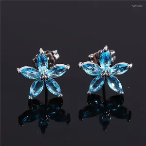 Boucles d'oreilles mignonnes femelles de zircon bleu étoiles multicolores de naissance de pierre de naissance en cristal argent couleur de mariage bijoux pour les femmes