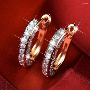 Boucles D'oreilles Clou Mode Européenne Et Américaine De Luxe