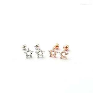 Boucles d'oreilles mode couleur or Rose boule en acier inoxydable étoile creuse blanc Zircon Piercing bijoux pour hommes femmes