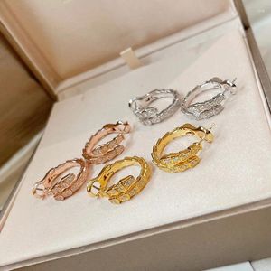 Pendientes de tuerca estilo de moda con incrustaciones de plata de ley 925 con circonita cúbica chapada en oro Color serpiente forma de serpiente joyería