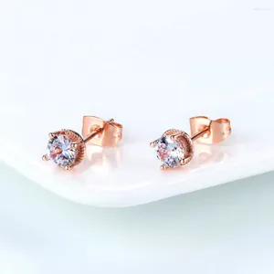 Boucles d'oreilles étalon Fashion Zircon Crystal for Women Wedding Gift Rose Gold Color State Bringle Bijoux DWE859M