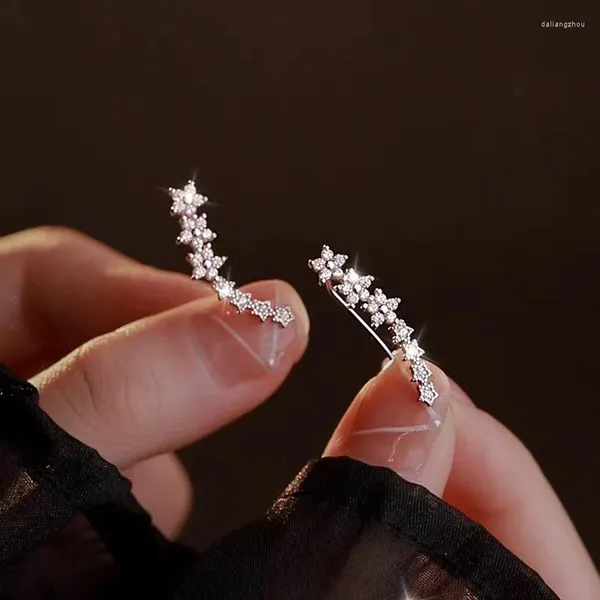 Boucles d'oreilles à goujon coréen brillant zircon étoile de fleur d'escalade pour femmes