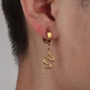 Boucles d'oreilles à clous pour hommes, série animaux, en acier inoxydable, or, personnalité, Serpentine, Punk, Style de rue, accessoires d'oreille de Niche