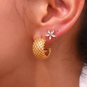 Boucles d'oreilles minimalistes en maille d'ananas, plaqué or 18 carats, étanche, en acier inoxydable pour femmes, 2024