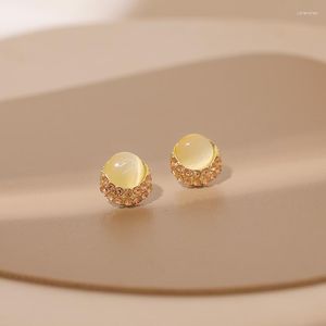 Boucles d'oreilles Stud Opal Rignestone pour les femmes personnalité de la mode coréenne Face mince Couet Femme Trendy Tide Jewelry Wholesale 2023