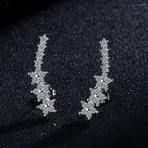 Boucles d'oreilles à tige en argent Sterling 925 véritable zircone étoile oreille grimpeur boucle d'oreille pour les femmes mignon chenille E0012